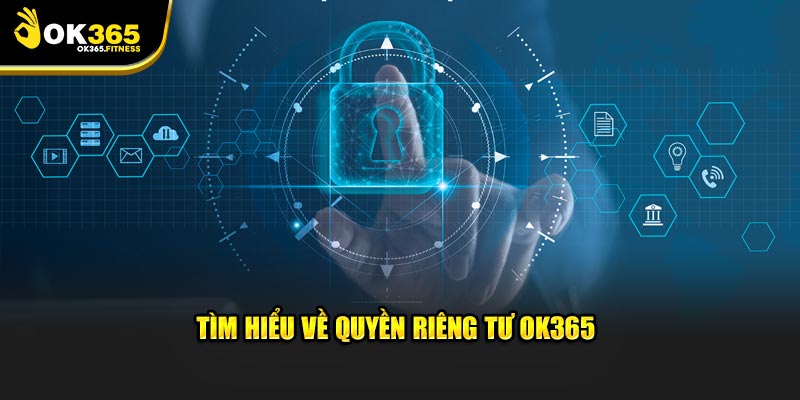 Tổng quan Quyền Riêng Tư OK365