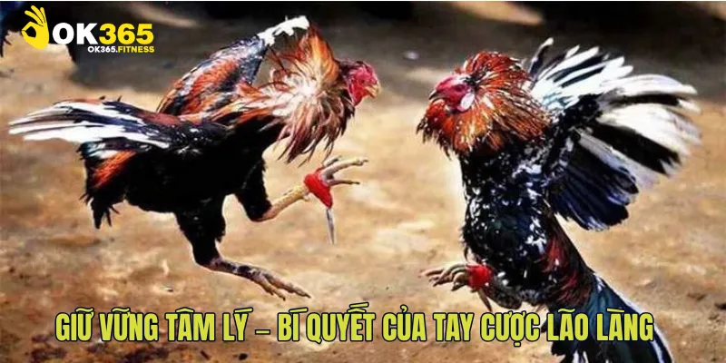 Giữ vững tâm lý – bí quyết của tay cược lão làng